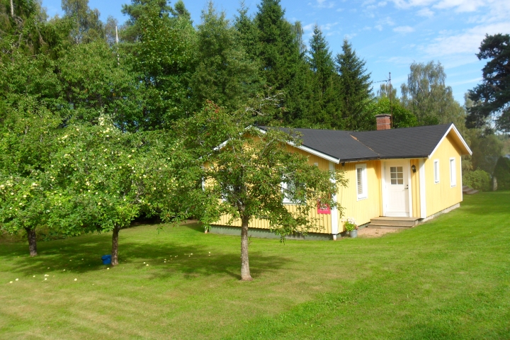 Viel Bäume und Büsche auf dem Grundstück