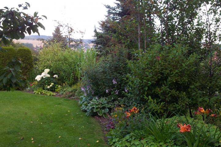 Gartenimpressionen