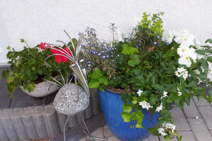 Gartenimpressionen