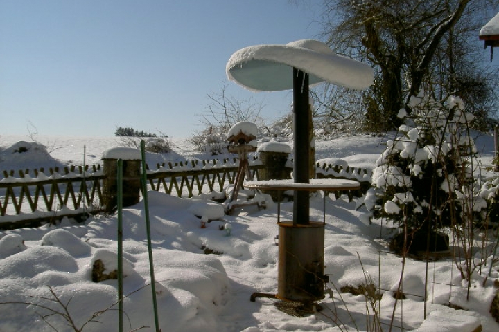Rosen/Steingarten im Winterschlaf