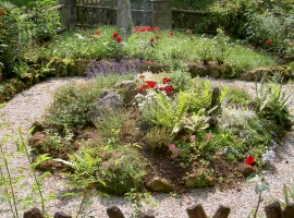 Foto 11