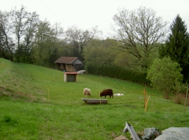 Foto 9