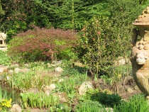Foto 15