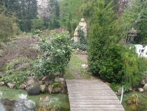 Foto 19