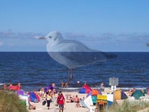 Ihr Strandzugang P - ca. 150 m entfernt 