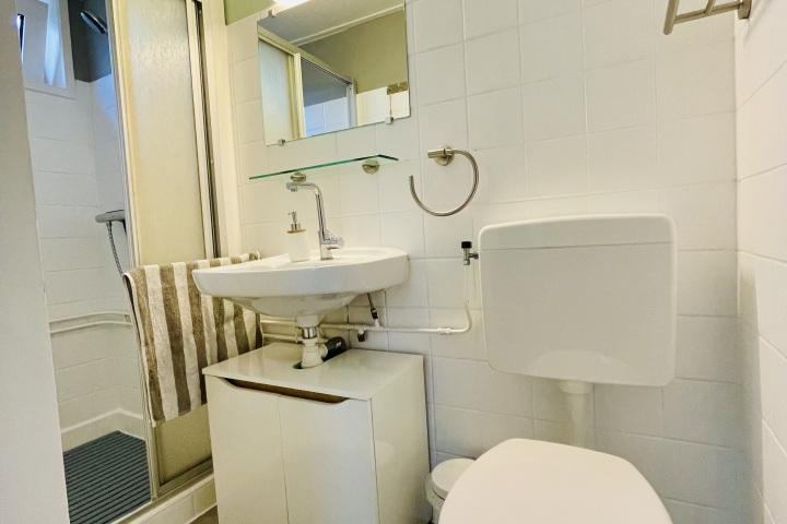 Badezimmer im Erdgeschoss mit WC und Dusche.