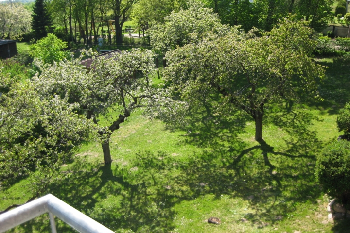 Aussicht in den Garten