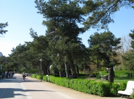 Foto 16