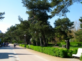 Foto 18