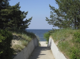 Foto 19
