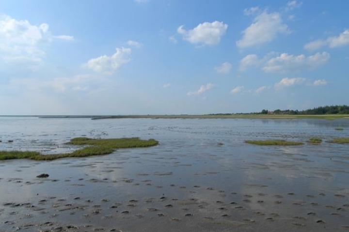 Husum Schobüll im Nationalpark Wattenmeer