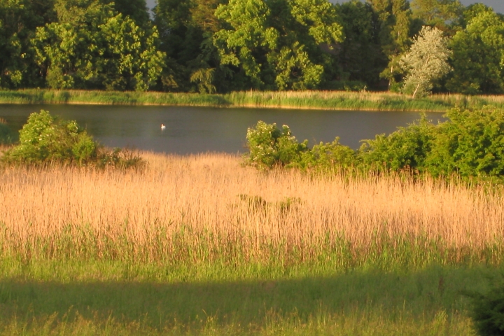 Ausblick-Bodden