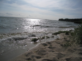 Foto 15