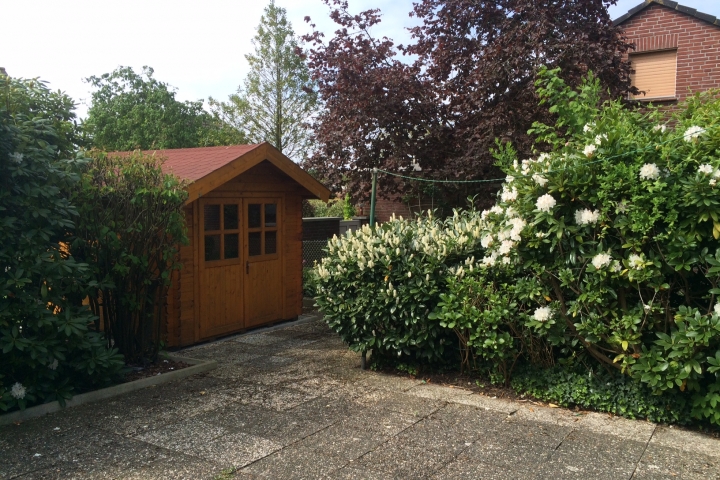 Terrasse mit Gartenhaus