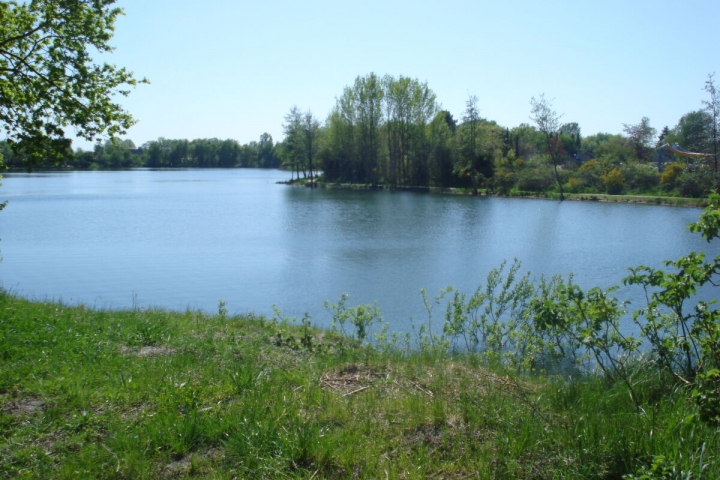 Badesee im Park