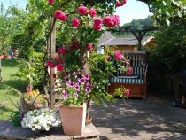 Foto 2