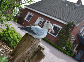 Möwe Emma beobachtet, ob alle richtig parken.