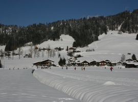 Foto 19
