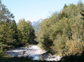 Foto 21