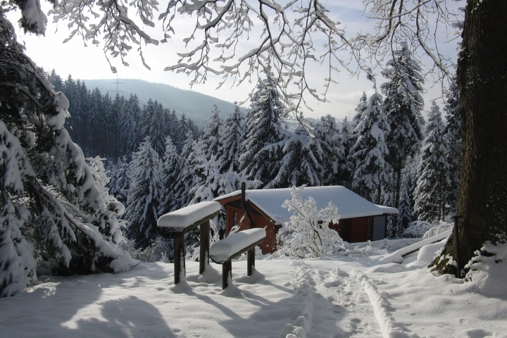 Farnberghütte 1
... Machen Sie es sich gemütlich- am Kaminofen bei einem Glühwein ...