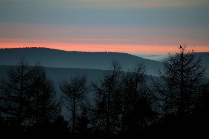Über allen Wipfeln ist Ruh . . . grandiose Sonnenuntergänge können Sie zu allen Jahreszeiten bestaunen