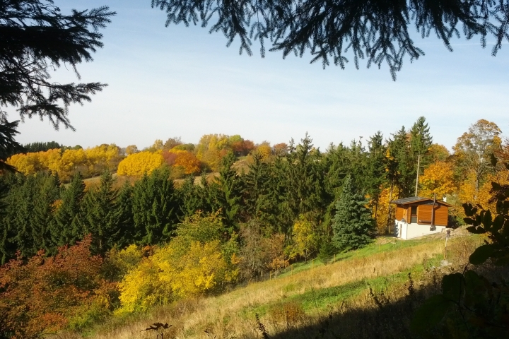 Ferienhaus Farnberghütte | Goldener Herbst an der Farnberghütte 1