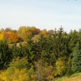 Farnberghütte 1 mit Sauna
