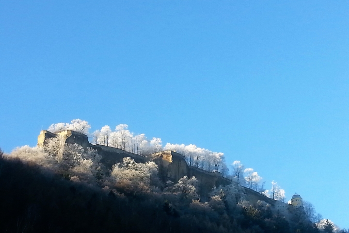 Festung Königstein im Winter