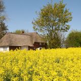 Ferienhaus Reethüs - Friesisch Gemütlich