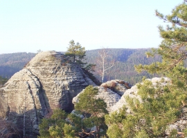 auf dem Pfaffenstein