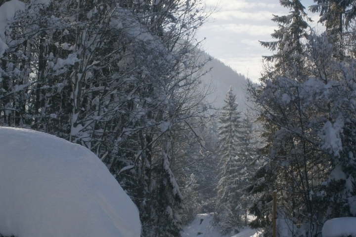 Ausblick vom Balkom