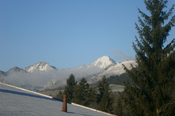 Ausblick aus dem Bad und Flur Fenster