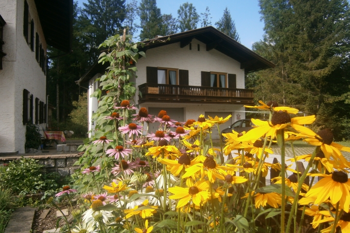 Im Sommer