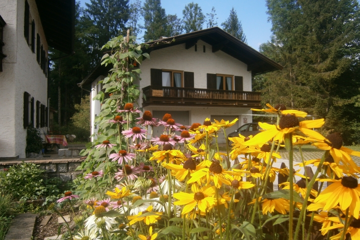 Ferienhaus Wildbachblick | Im Sommer