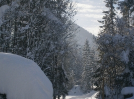Foto 17