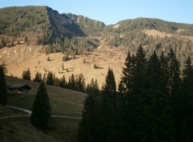 Foto 16