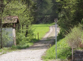Foto 11