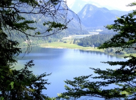 Foto 13