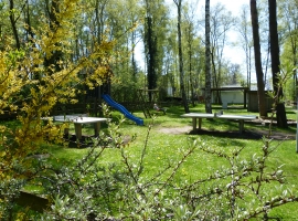 Foto 7