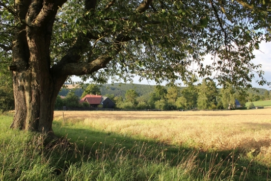 Ferienwohnungen Pension Am Vogelherd Ferienwohnungen Pension Am Vogelherd
