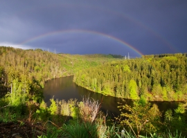 Blick auf die Saale nahe Dörflas