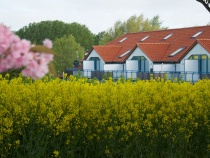 Foto 21