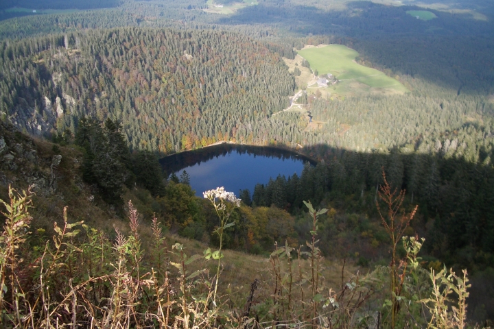 Blick vom Feldberg zum Feldsee