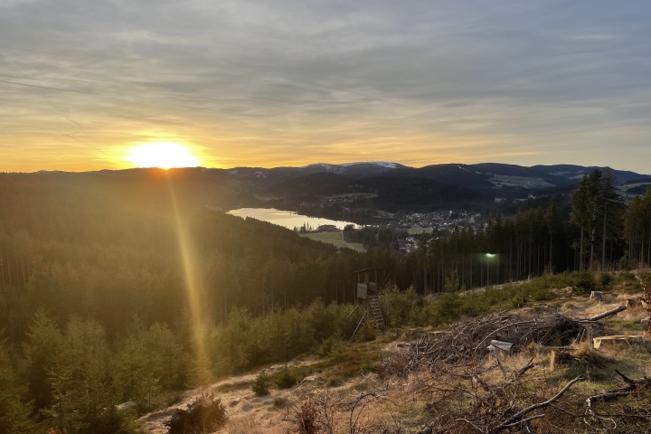 Sonnenaufgang über den Schweizer Alpen