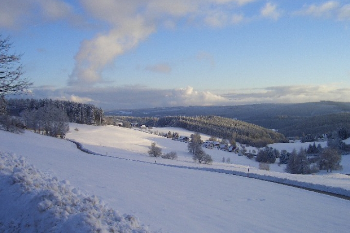 Winterblick Richtung Schweizer Alpen