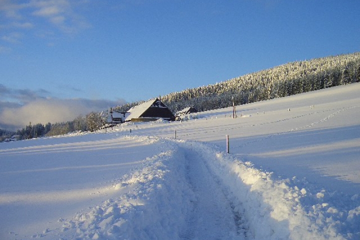 Winterwanderweg Saig