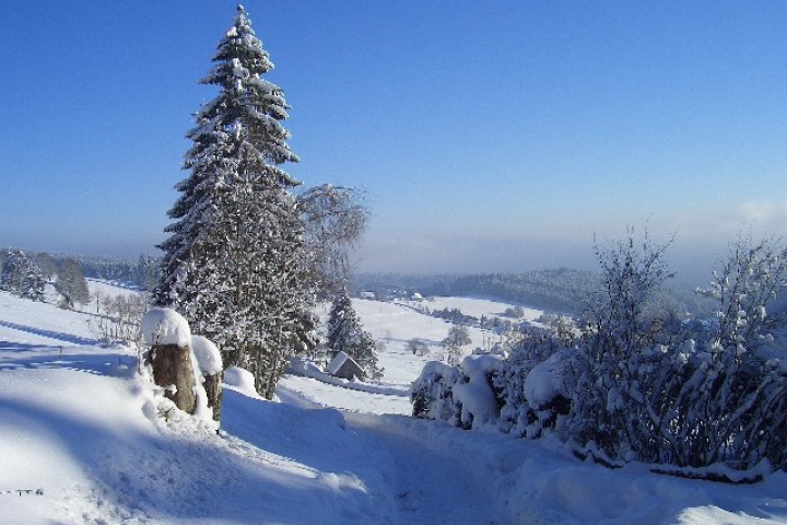 Blick auf die Winterlandschaft