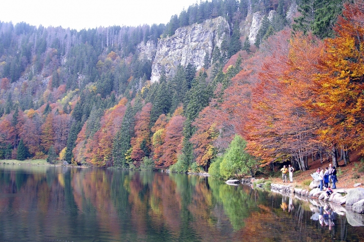 Herbststimmung am Feldsee