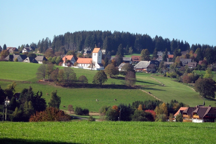 Blick auf den Ortskern von Saig