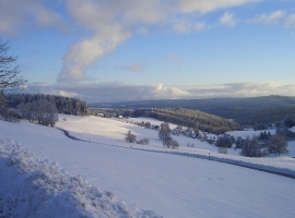 Winterblick Richtung Schweizer Alpen